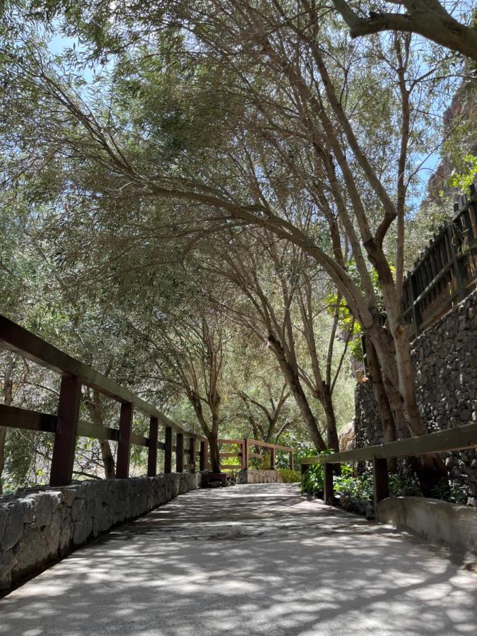 Casa Rural Guayadeque Ca'Juani Ingenio Zewnętrze zdjęcie